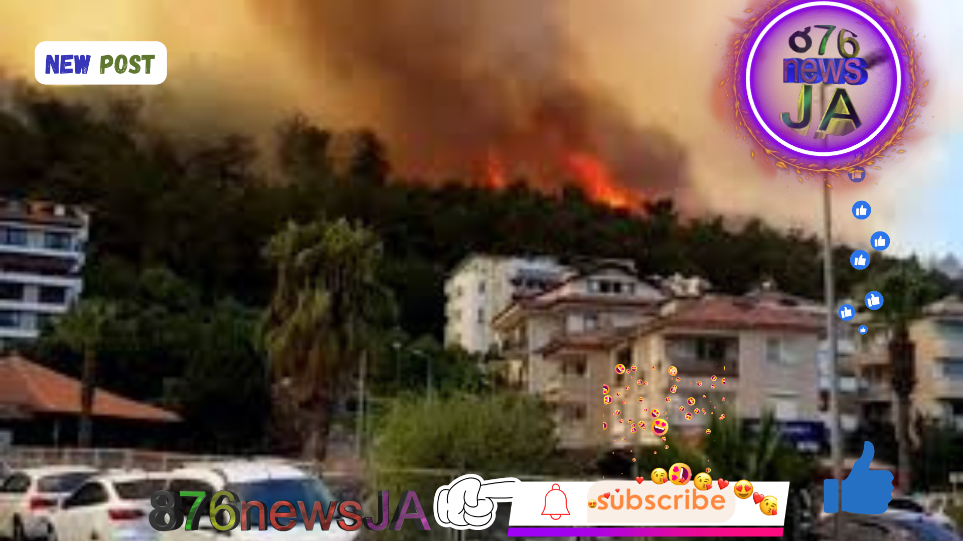 Bodrum Hotels Evacuated as Wildfires Rage