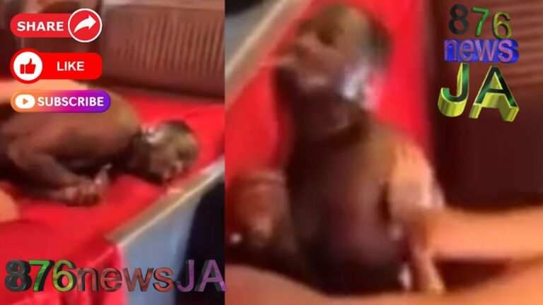 Fatal Incident During Explicit 3-Way on OnlyFans Exposed!